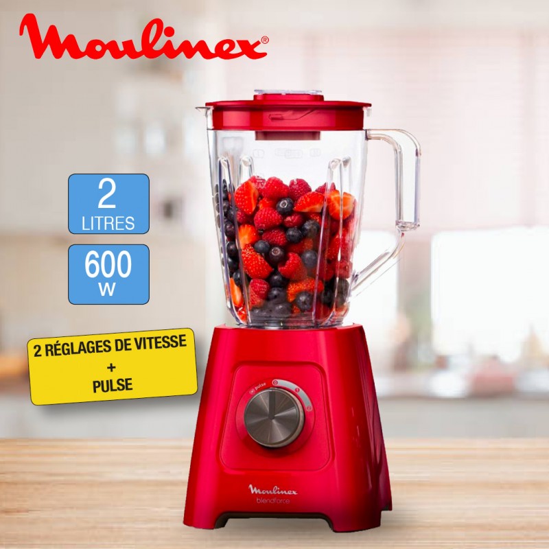Moulinex Blender/Mixeur LM4205 BlendForce
