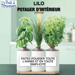 Mini jardin d'intérieur Lilo (basilic, menthe, ciboulette) - Prêt