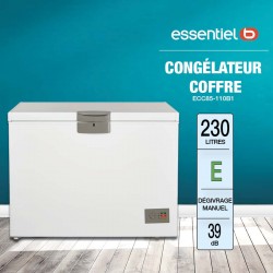 CONGELATEUR COFFRE...